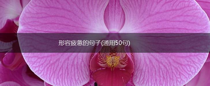 形容疲惫的句子(通用50句),第1张