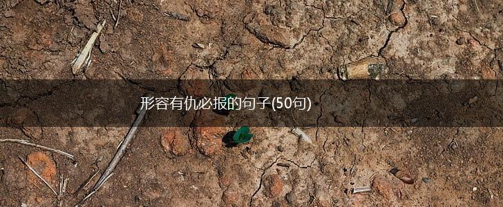 形容有仇必报的句子(50句),第1张