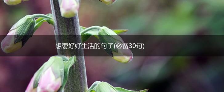 想要好好生活的句子(必备30句),第1张