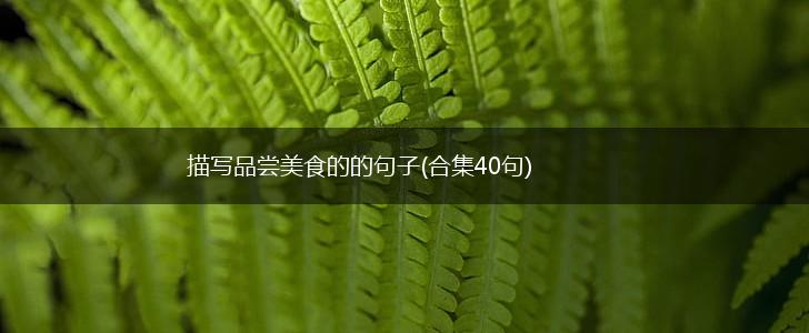 描写品尝美食的的句子(合集40句),第1张