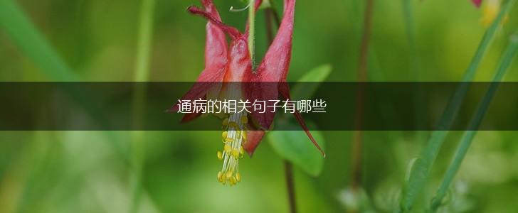 通病的相关句子有哪些,第1张 通病的相关句子有哪些,第1张