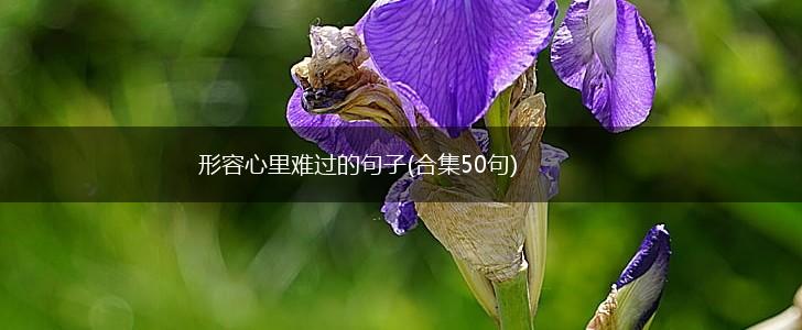 形容心里难过的句子(合集50句),第1张