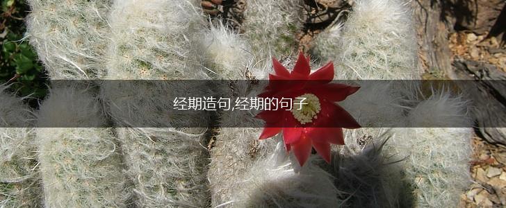 经期造句,经期的句子,第1张 经期造句,经期的句子,第1张