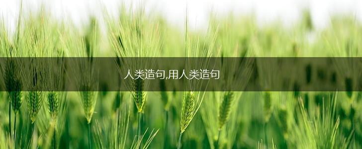 人类造句,用人类造句,第1张 人类造句,用人类造句,第1张