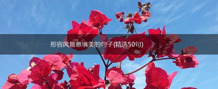 形容风景意境美的句子(精选50句),第1张