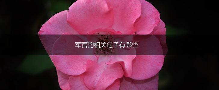 军营的相关句子有哪些,第1张 军营的相关句子有哪些,第1张