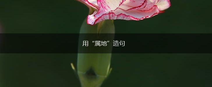 用“属地”造句,第1张 用“属地”造句,第1张