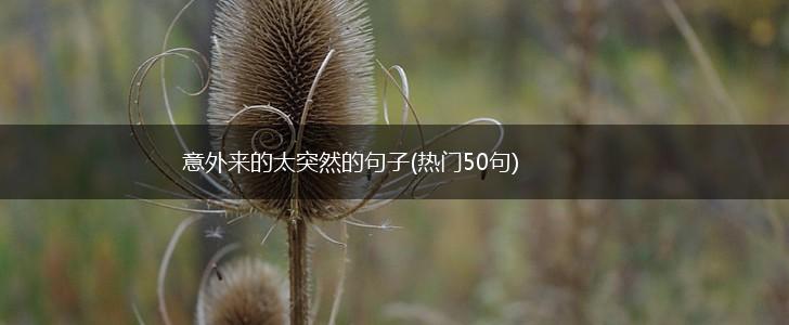 意外来的太突然的句子(热门50句),第1张