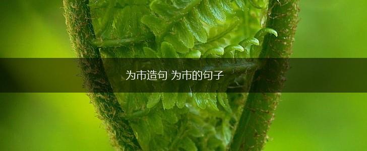 为市造句 为市的句子,第1张 为市造句 为市的句子,第1张