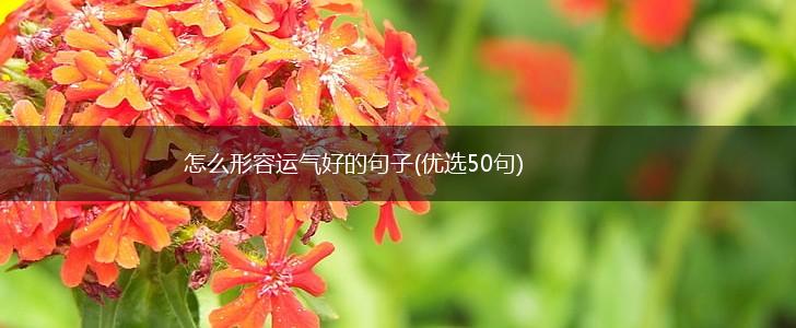 怎么形容运气好的句子(优选50句),第1张