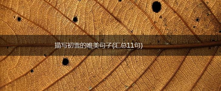 描写初雪的唯美句子(汇总11句),第1张
