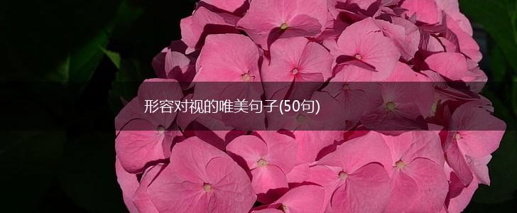 形容对视的唯美句子(50句),第1张