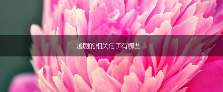 越剧的相关句子有哪些,第1张 越剧的相关句子有哪些,第1张