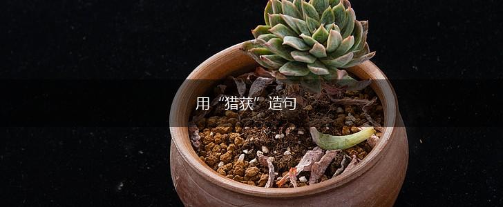 用“猎获”造句,第1张 用“猎获”造句,第1张