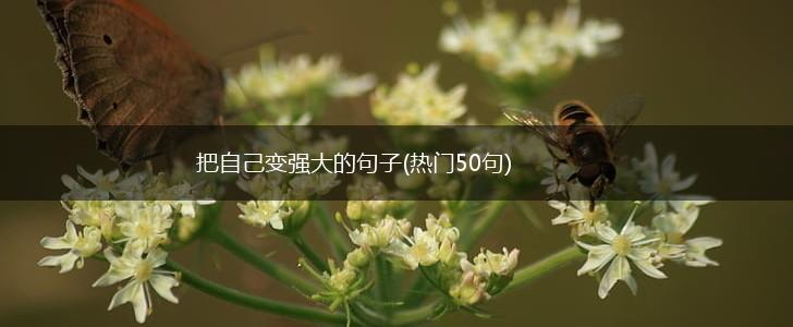 把自己变强大的句子(热门50句),第1张