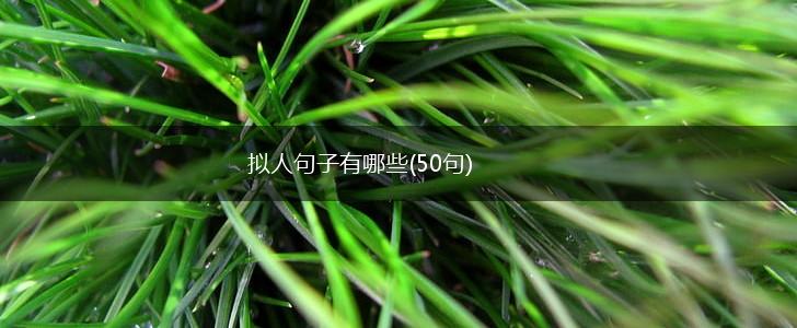拟人句子有哪些(50句),第1张