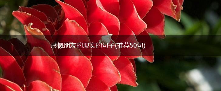 感慨朋友的现实的句子(推荐50句),第1张