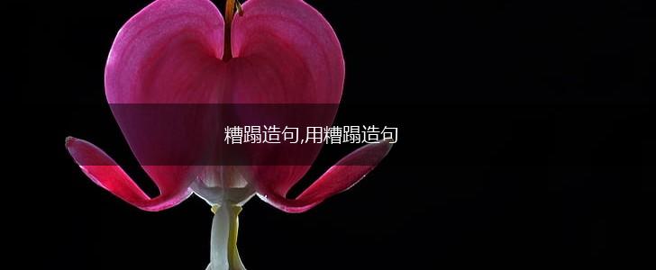 糟蹋造句,用糟蹋造句,第1张 糟蹋造句,用糟蹋造句,第1张