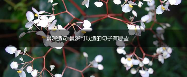 景深造句 景深可以造的句子有哪些,第1张 景深造句 景深可以造的句子有哪些,第1张