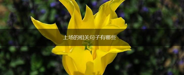 上场的相关句子有哪些,第1张