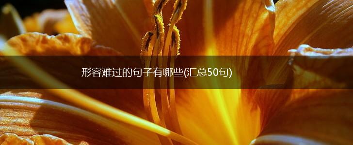 形容难过的句子有哪些(汇总50句),第1张