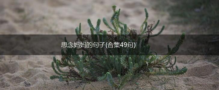 思念妈妈的句子(合集49句),第1张