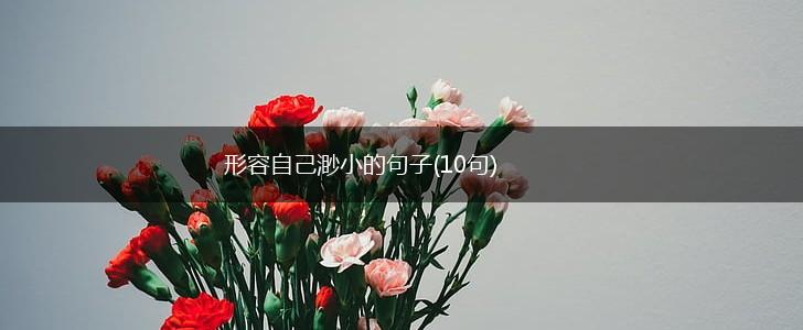 形容自己渺小的句子(10句),第1张