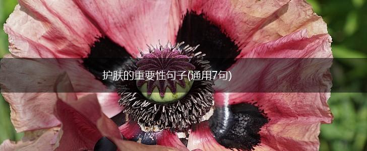护肤的重要性句子(通用7句),第1张