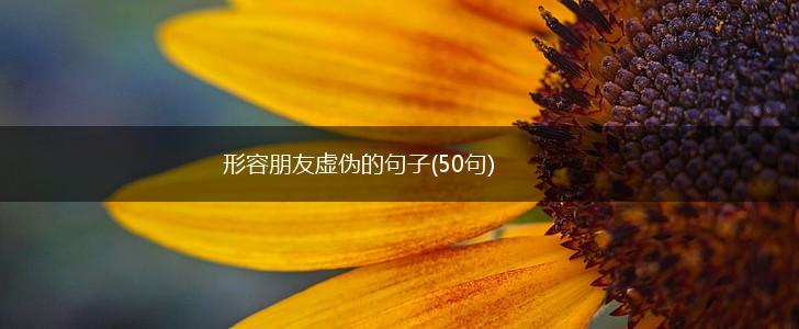 形容朋友虚伪的句子(50句),第1张