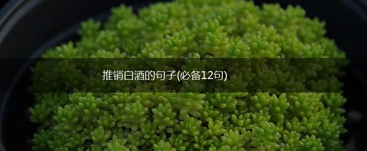 推销白酒的句子(必备12句),第1张