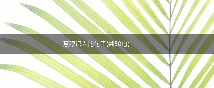 慧眼识人的句子(共50句),第1张