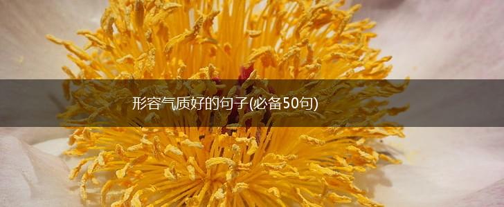 形容气质好的句子(必备50句),第1张