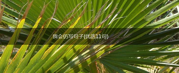 我会仿写句子(优选11句),第1张