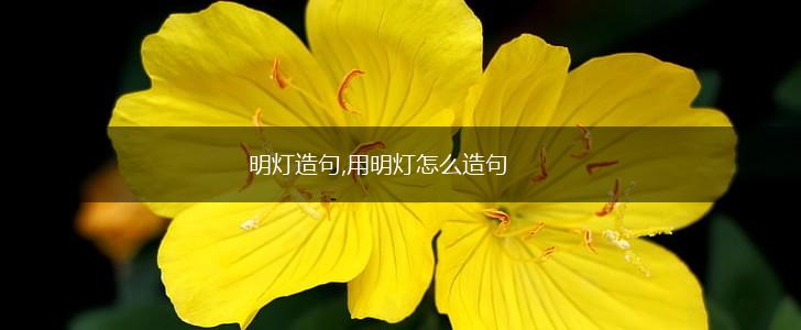 明灯造句,用明灯怎么造句,第1张 明灯造句,用明灯怎么造句,第1张