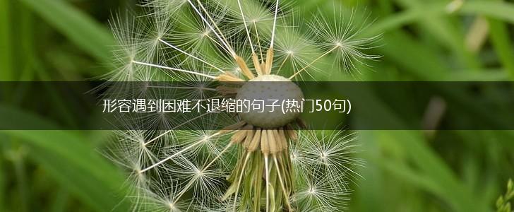 形容遇到困难不退缩的句子(热门50句),第1张