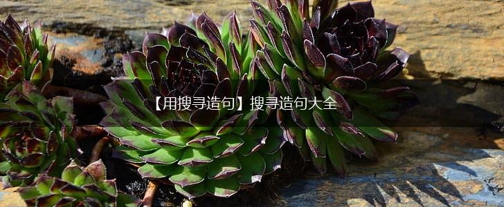 【用搜寻造句】搜寻造句大全,第1张 【用搜寻造句】搜寻造句大全,第1张