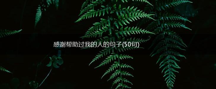 感谢帮助过我的人的句子(50句),第1张
