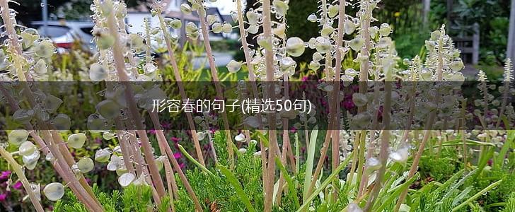 形容春的句子(精选50句),第1张