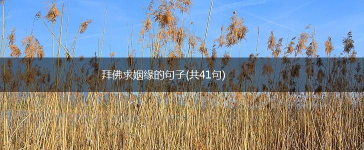 拜佛求姻缘的句子(共41句),第1张