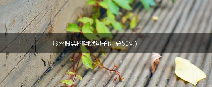 形容股票的幽默句子(汇总50句),第1张