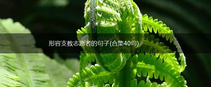 形容支教志愿者的句子(合集40句),第1张