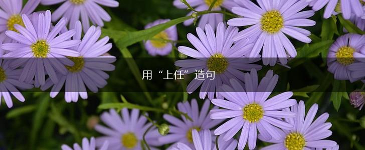用“上任”造句,第1张 用“上任”造句,第1张