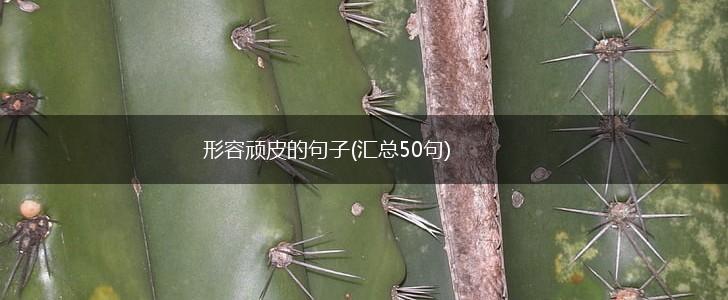 形容顽皮的句子(汇总50句),第1张
