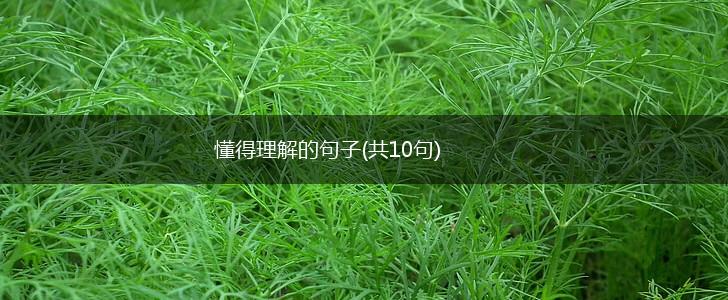懂得理解的句子(共10句),第1张