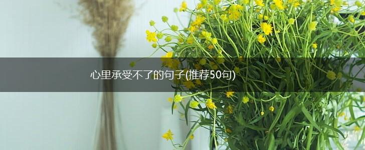 心里承受不了的句子(推荐50句),第1张