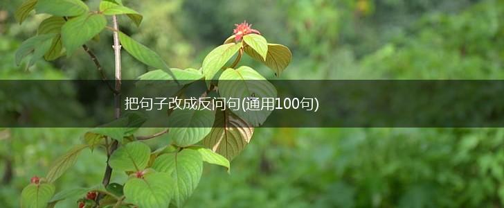 把句子改成反问句(通用100句),第1张