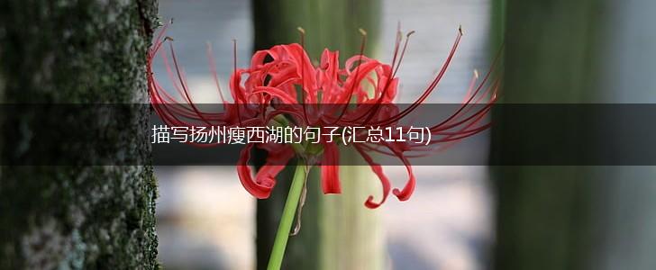 描写扬州瘦西湖的句子(汇总11句),第1张
