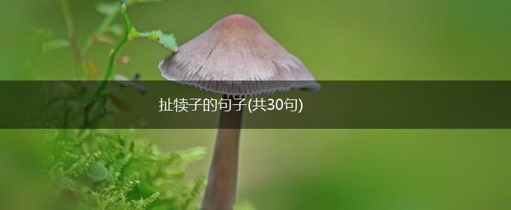 扯犊子的句子(共30句),第1张