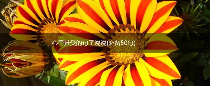 心里难受的句子说说(必备50句),第1张