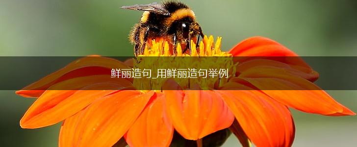 鲜丽造句_用鲜丽造句举例,第1张 鲜丽造句_用鲜丽造句举例,第1张